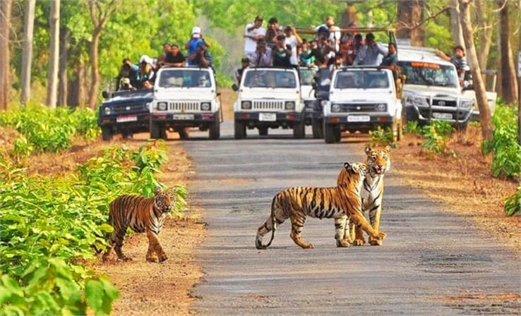 Kanha National Park Jeep Safari